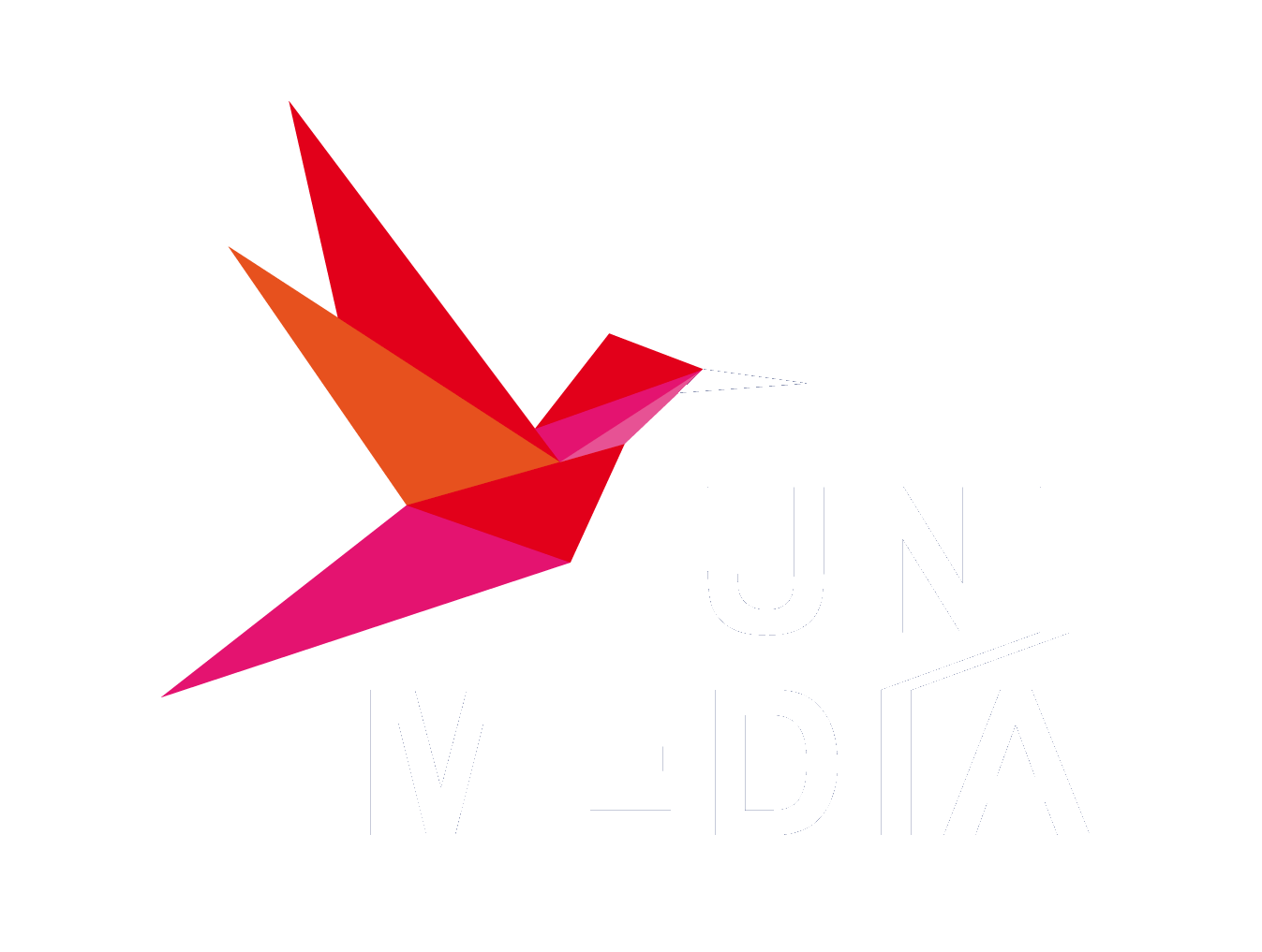 UNIMEDIA
